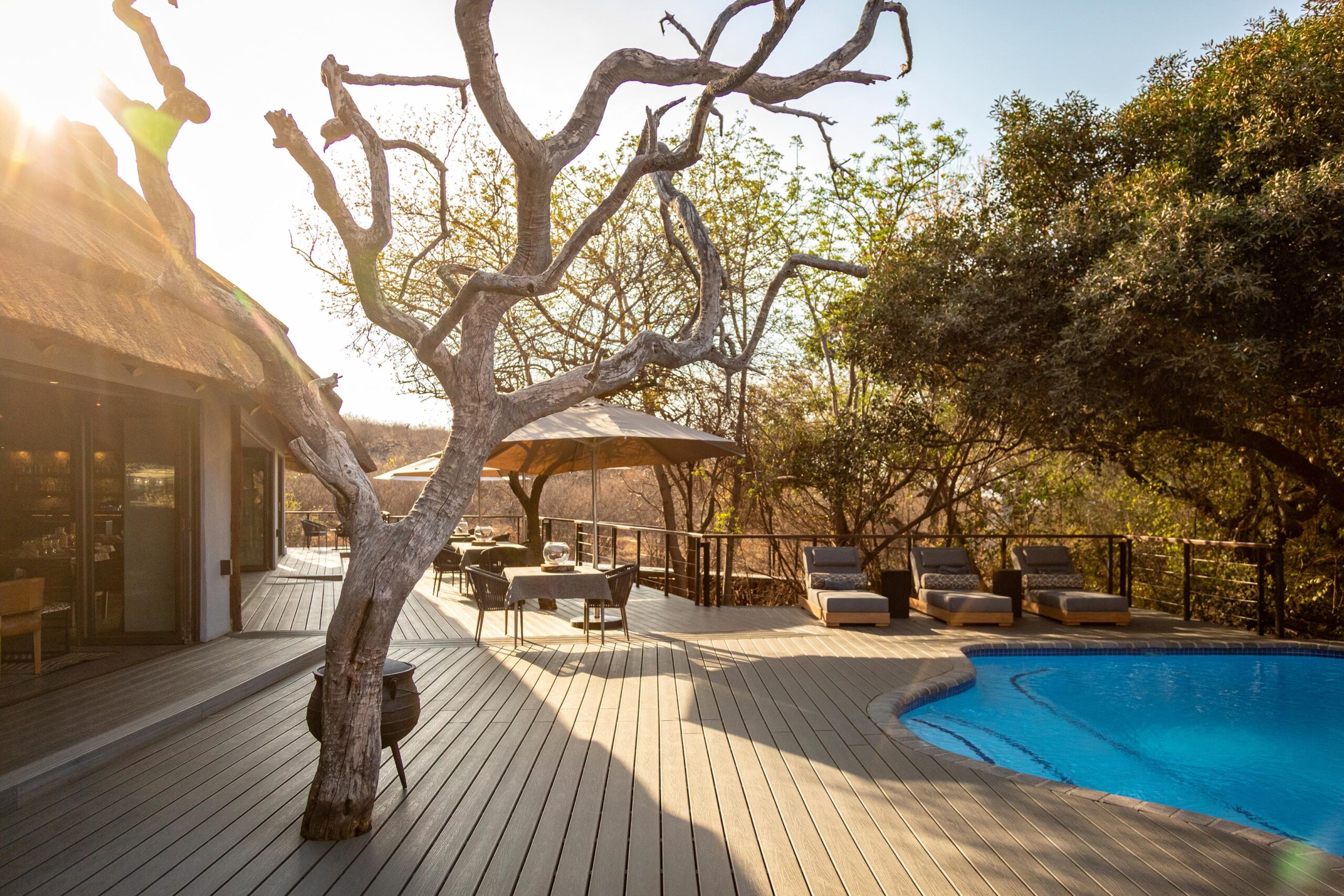 Tuningi Safari Lodge