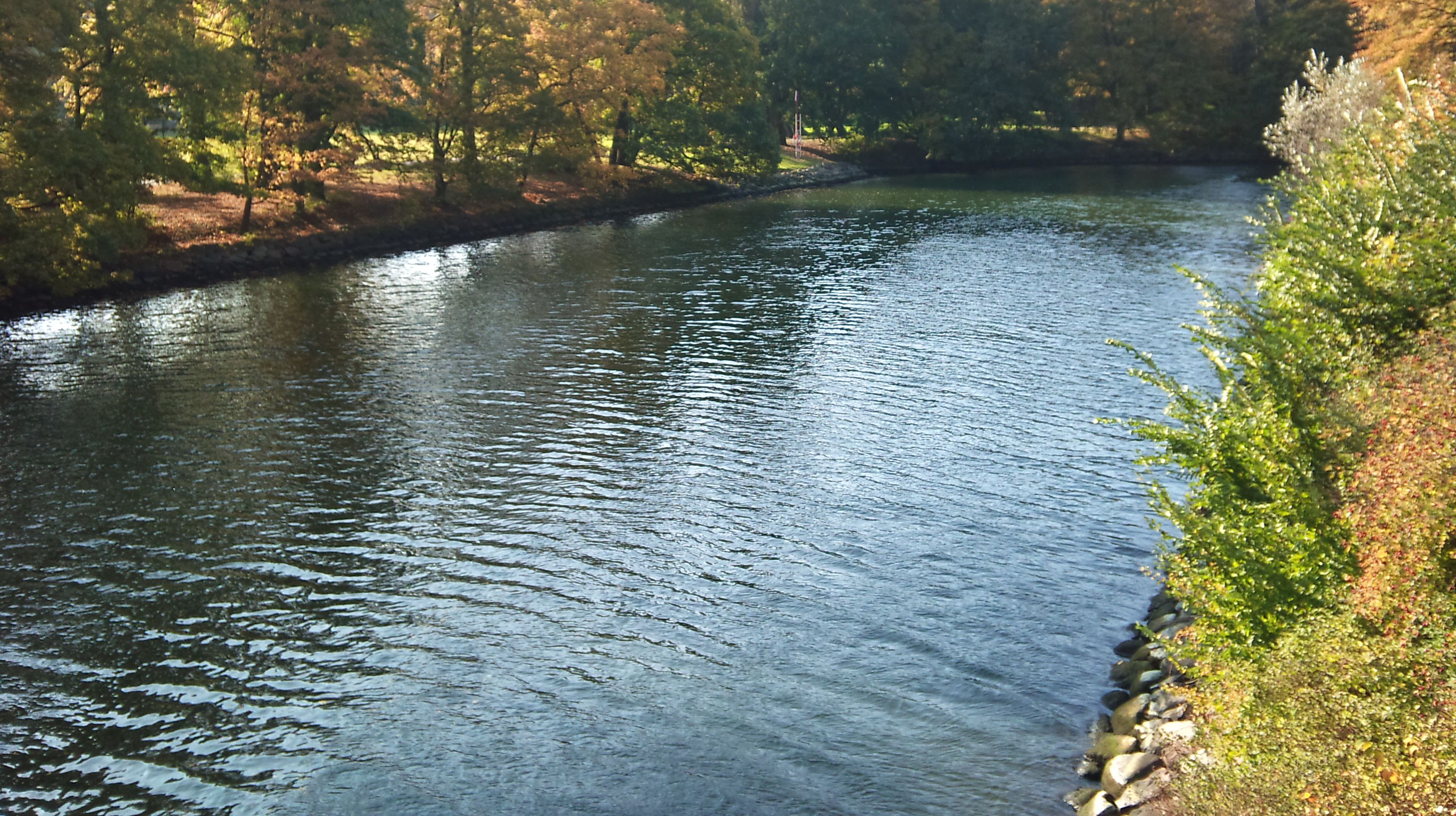 Kungsparken