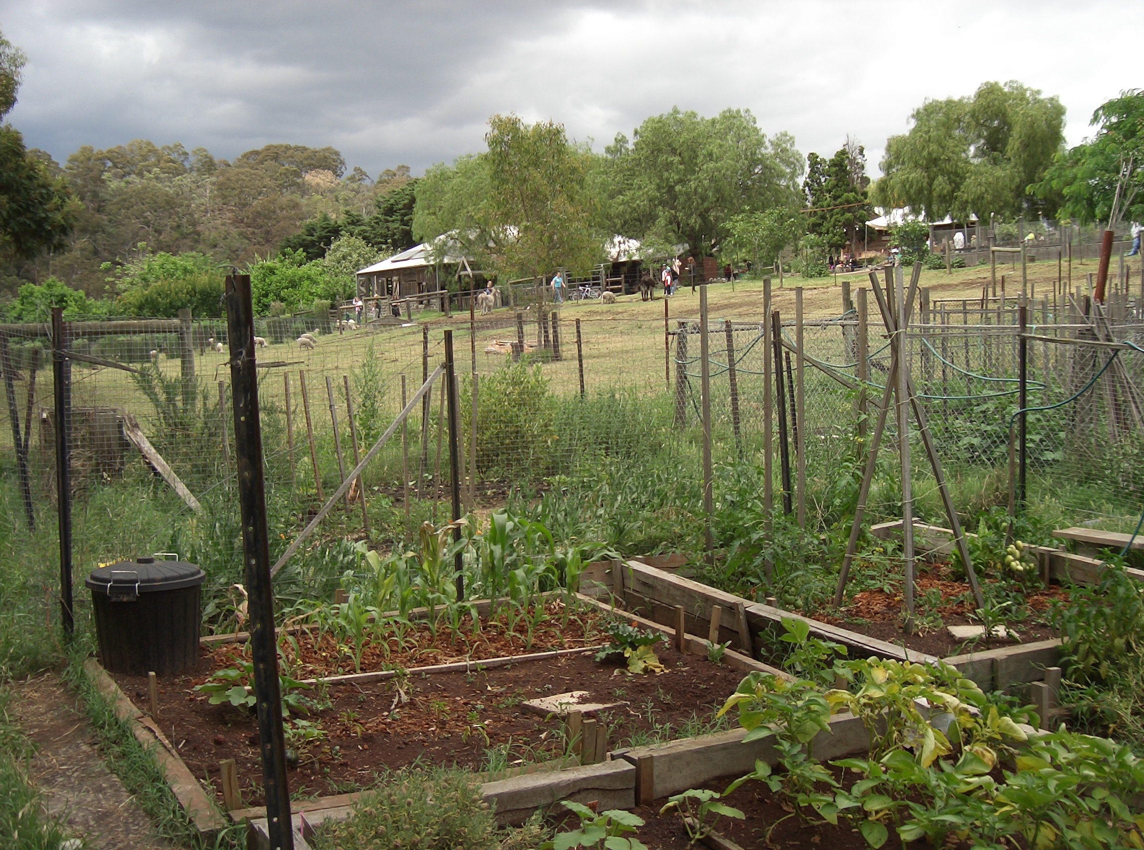 Collingwood Children's Farm