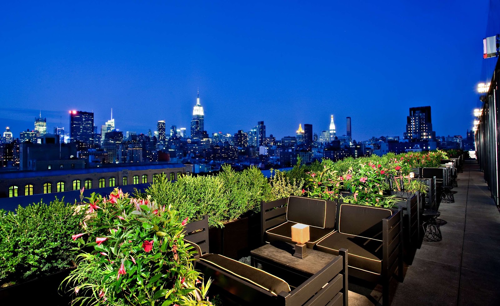 Dream Downtown