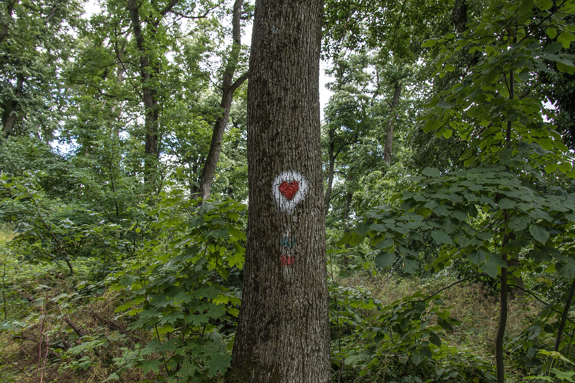 Parque Nacional Fruška Gora