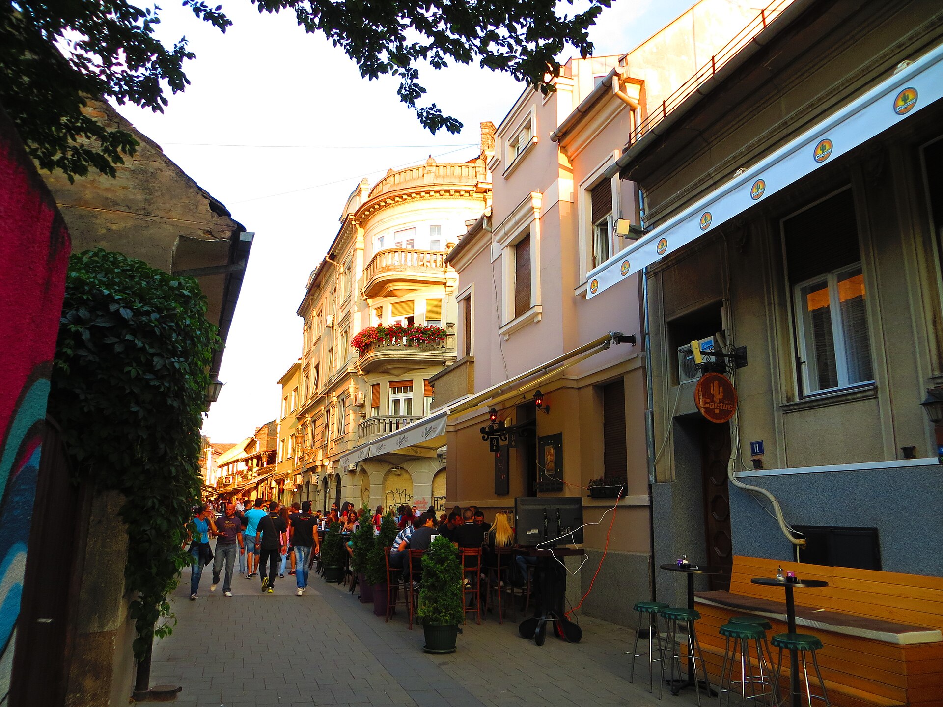 Rua Laze Telečkog