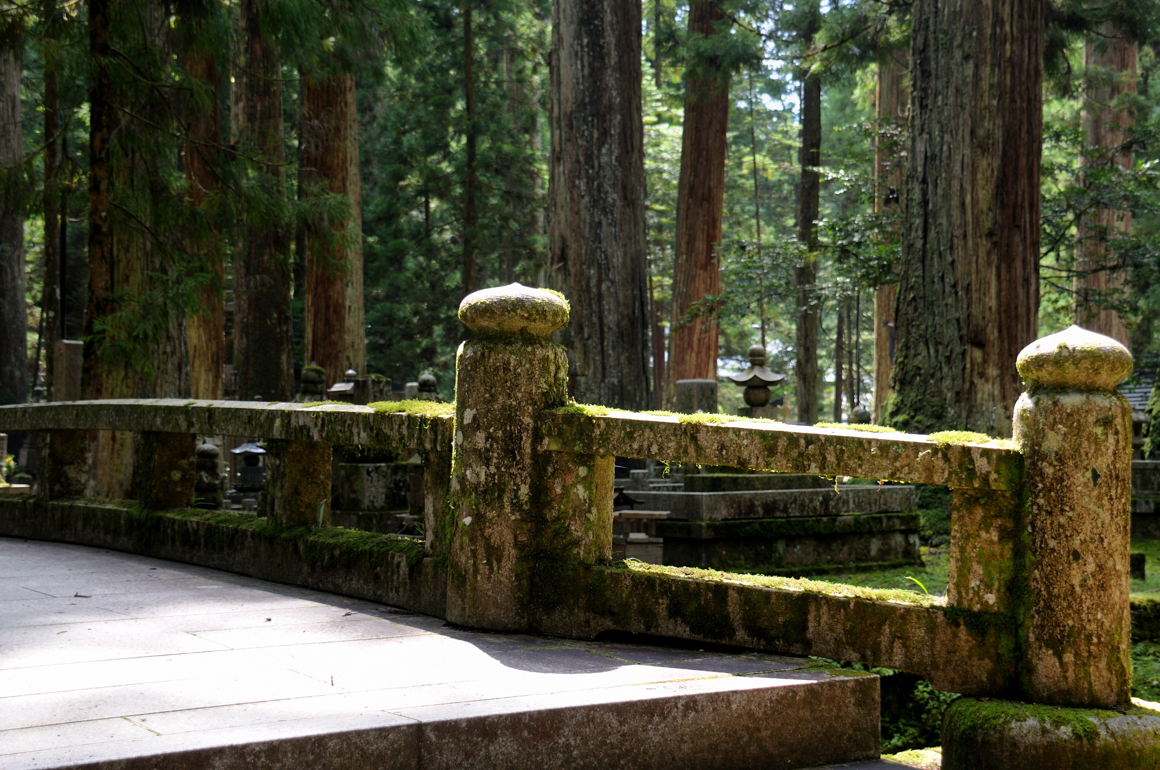 Koyasan e o cemitério Okunoin