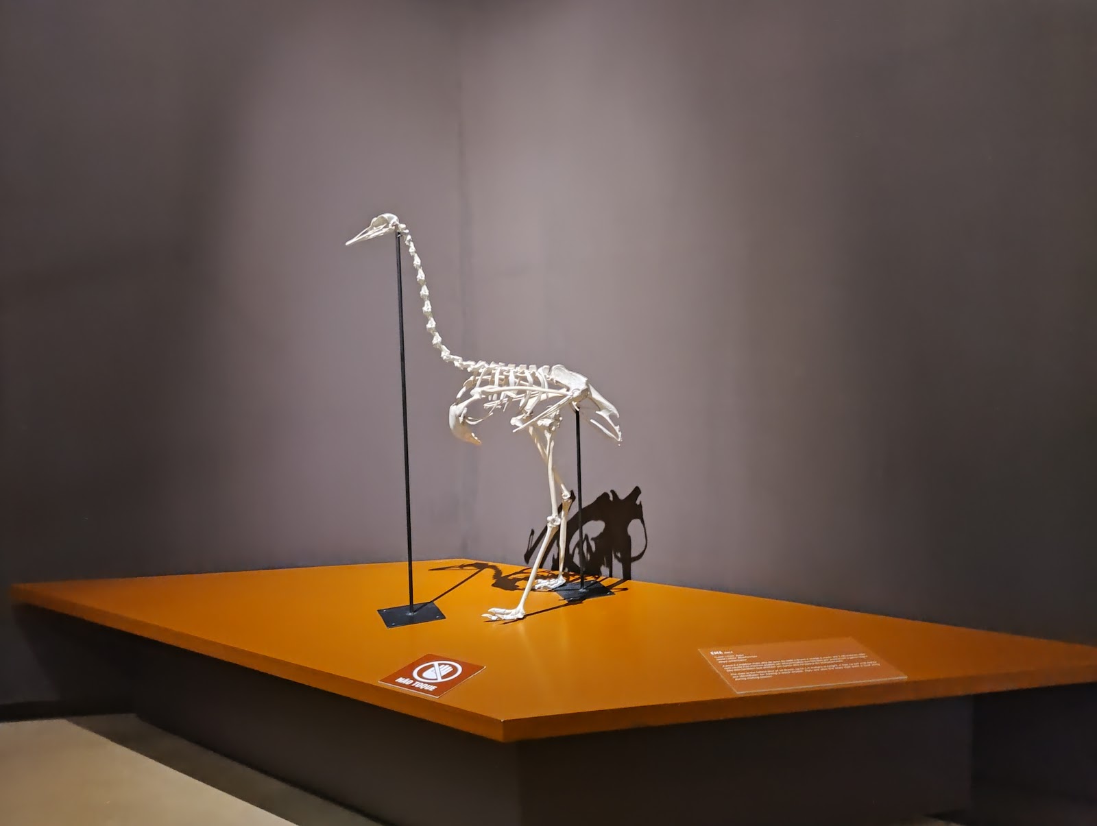 Museu da Natureza