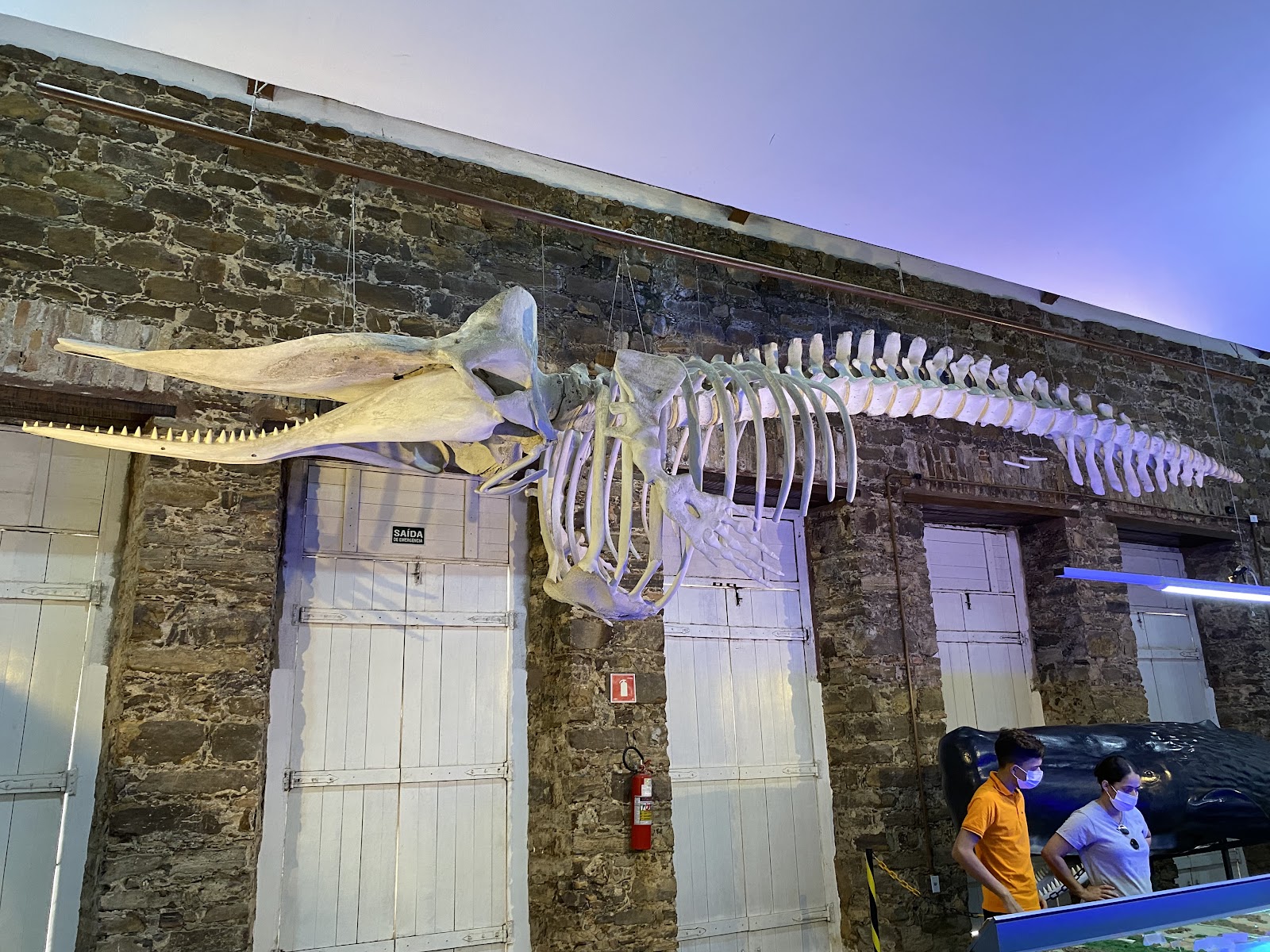 Museu do Mar