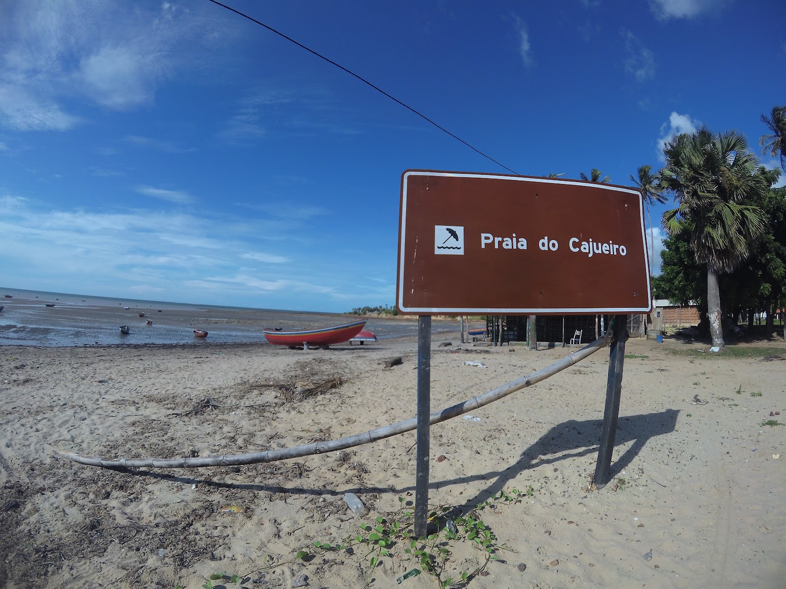 Peixe-boi marinho em Cajueiro da Praia