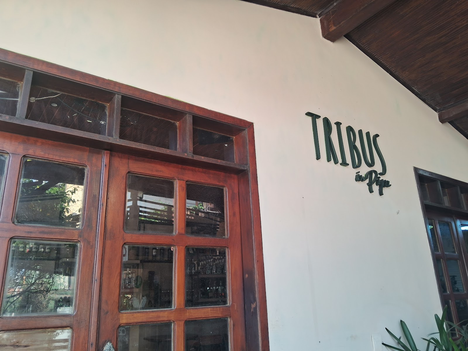 Tribus Bar