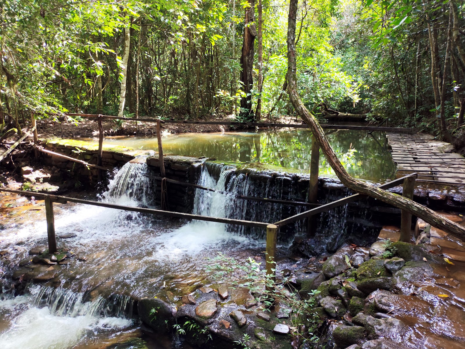 Santuário de Vida Silvestre Vagafogo