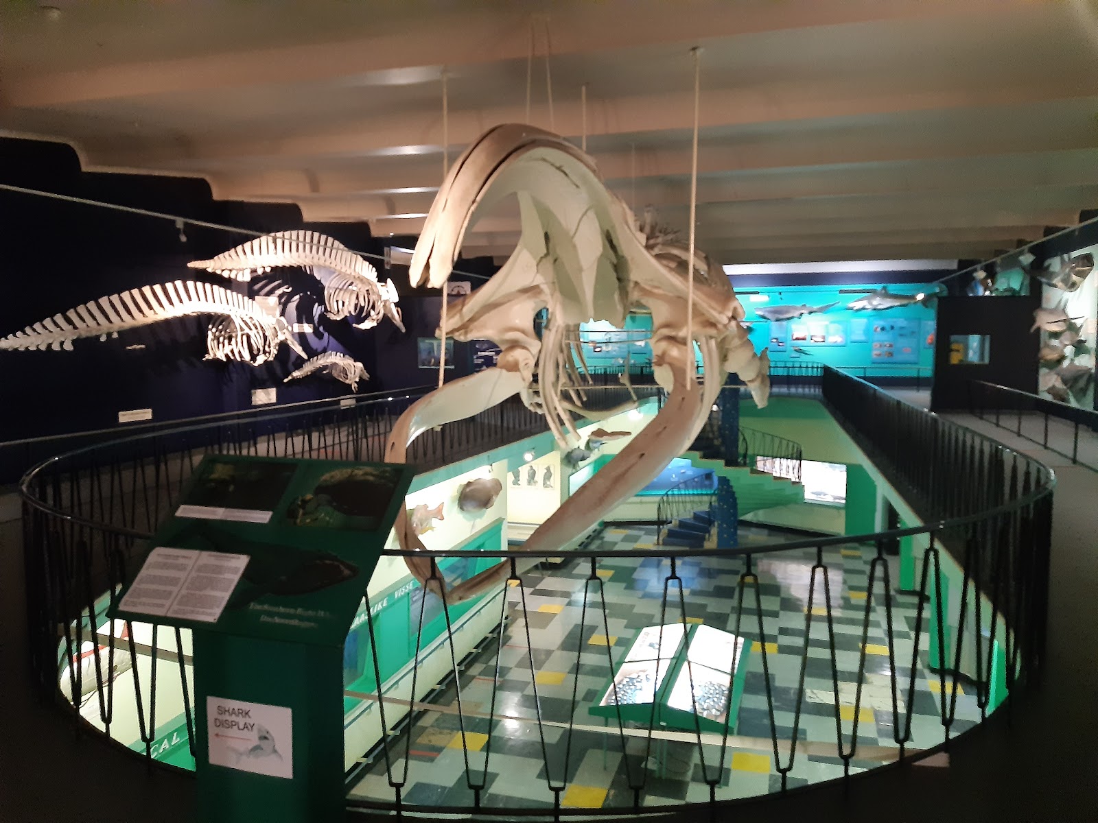 Bayworld (Museu, Oceanário e Serpentário)