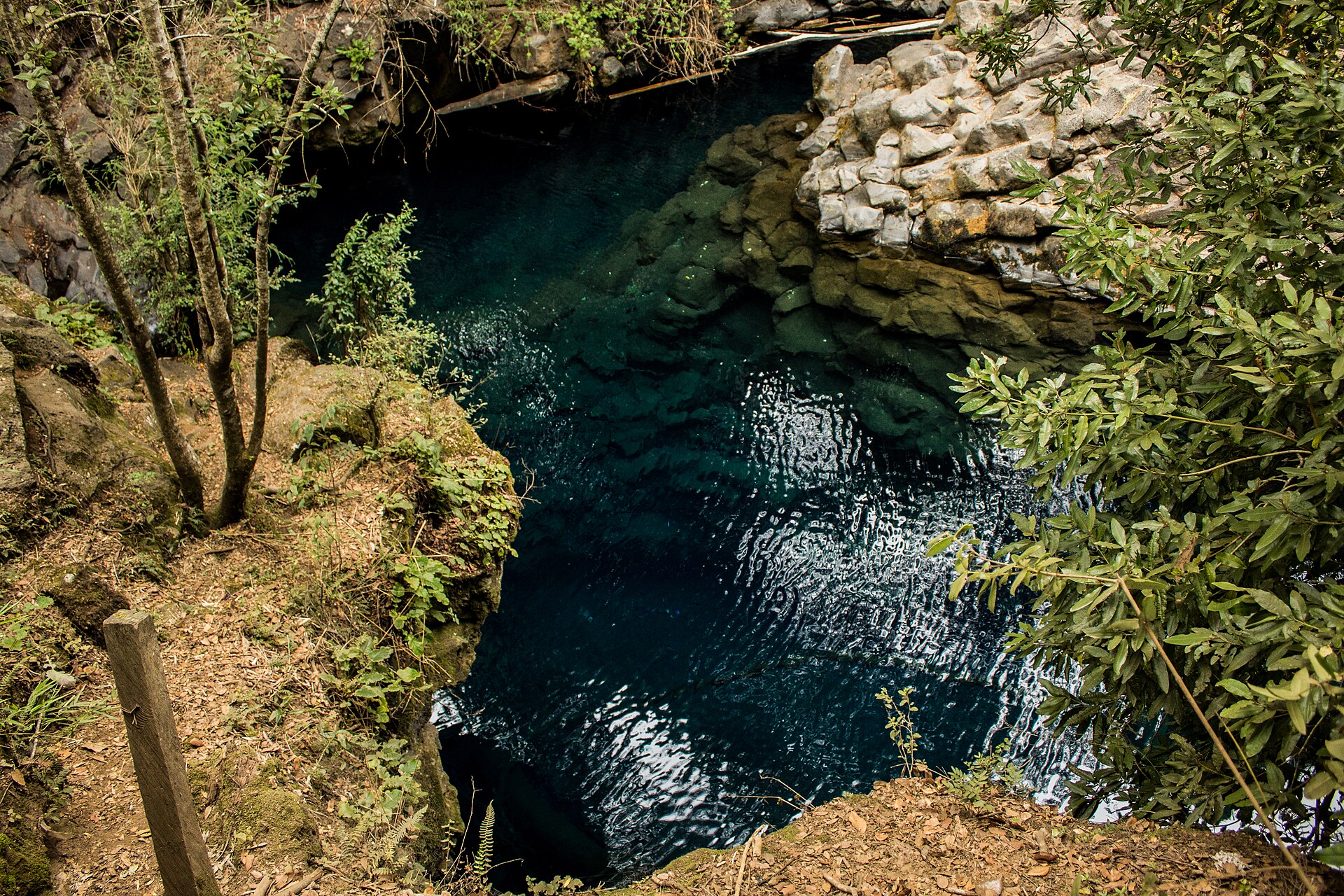 Ojos del Caburgua
