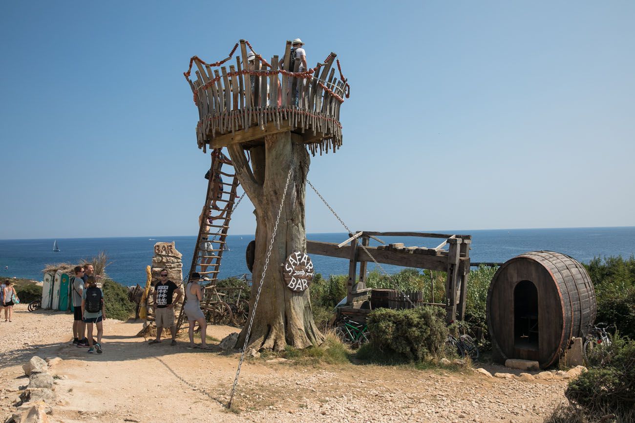 Safari Bar