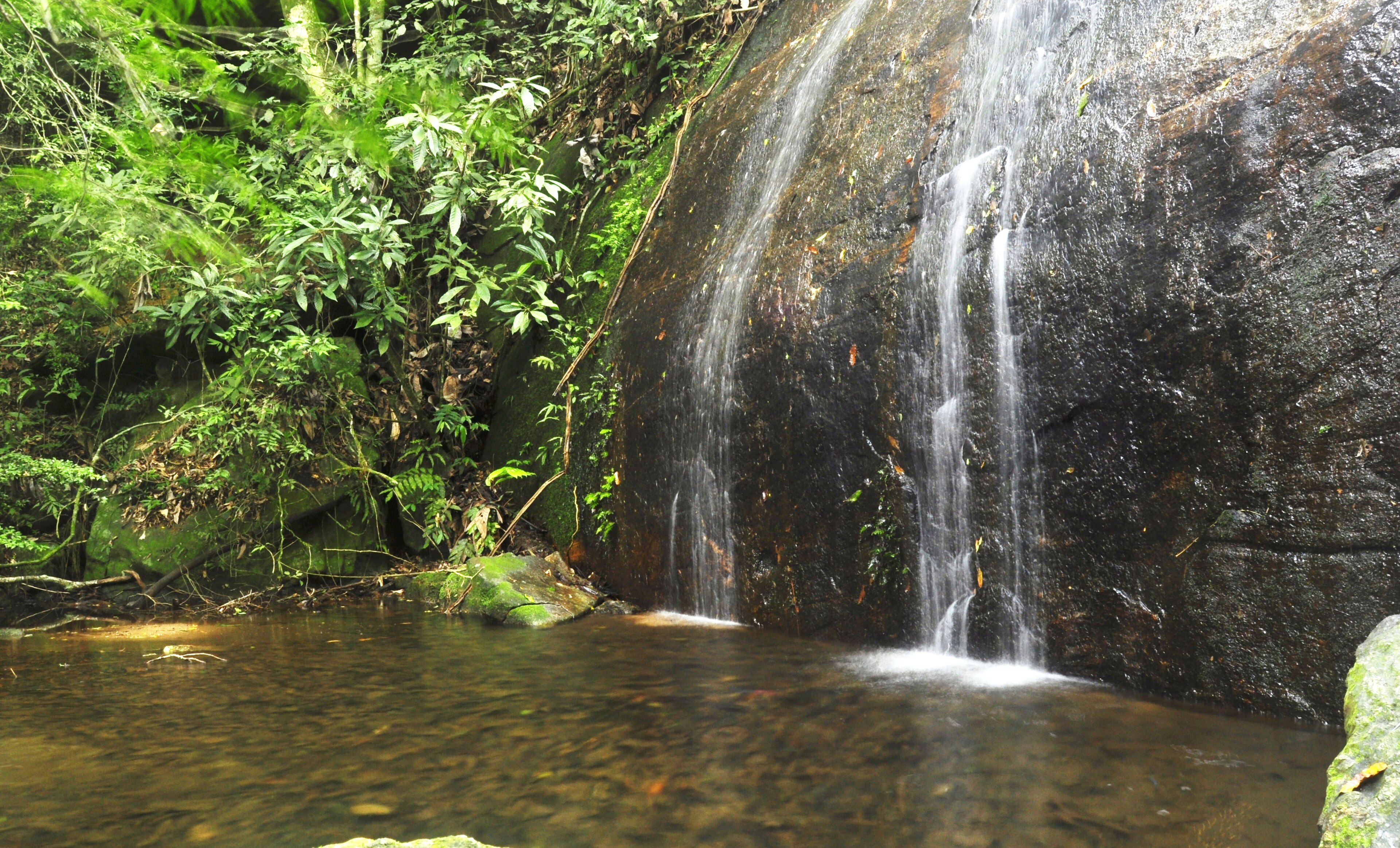 Cachoeira dos Primatas