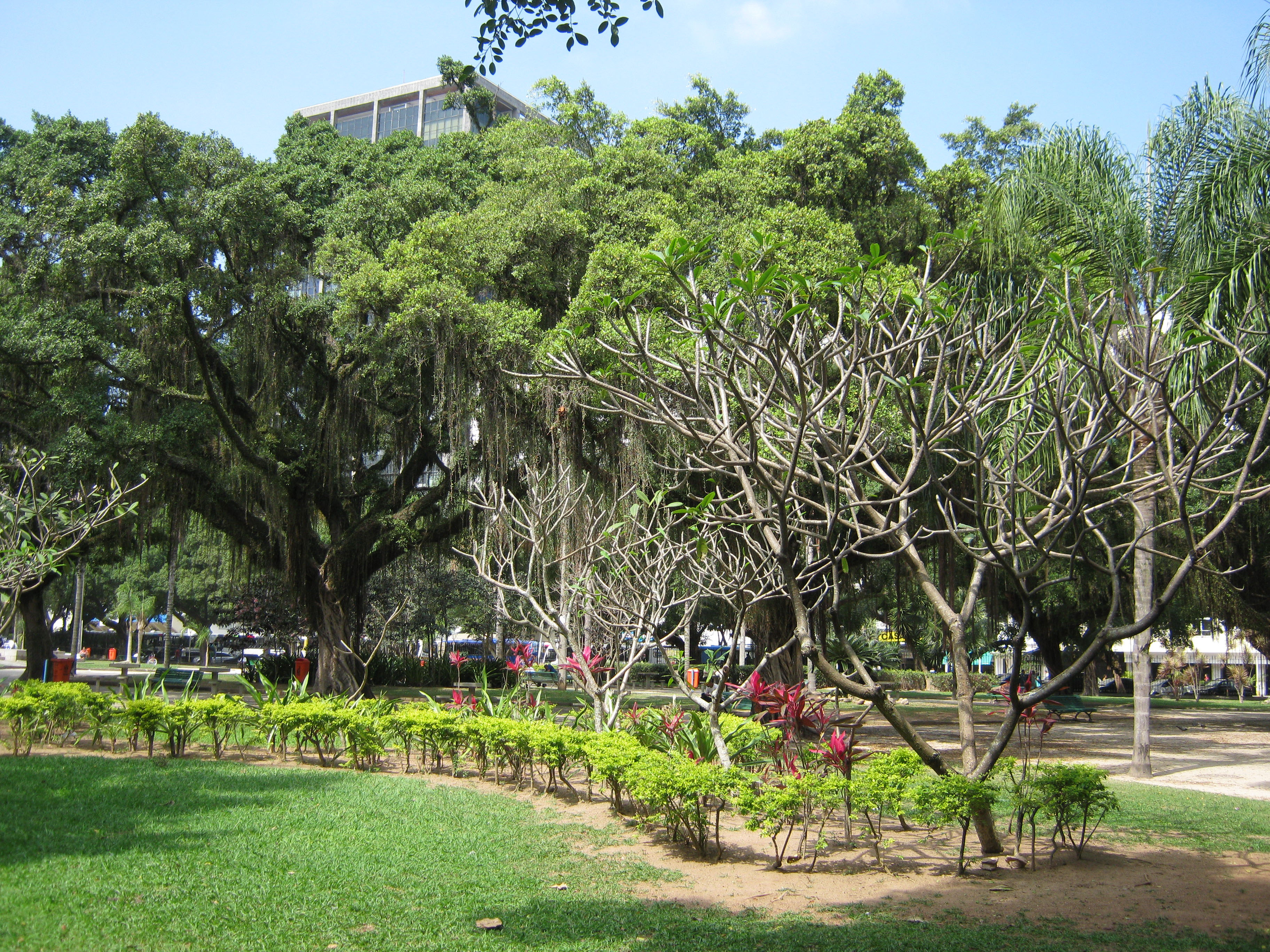 Feira Orgânica Praça Nossa Senhora da Paz