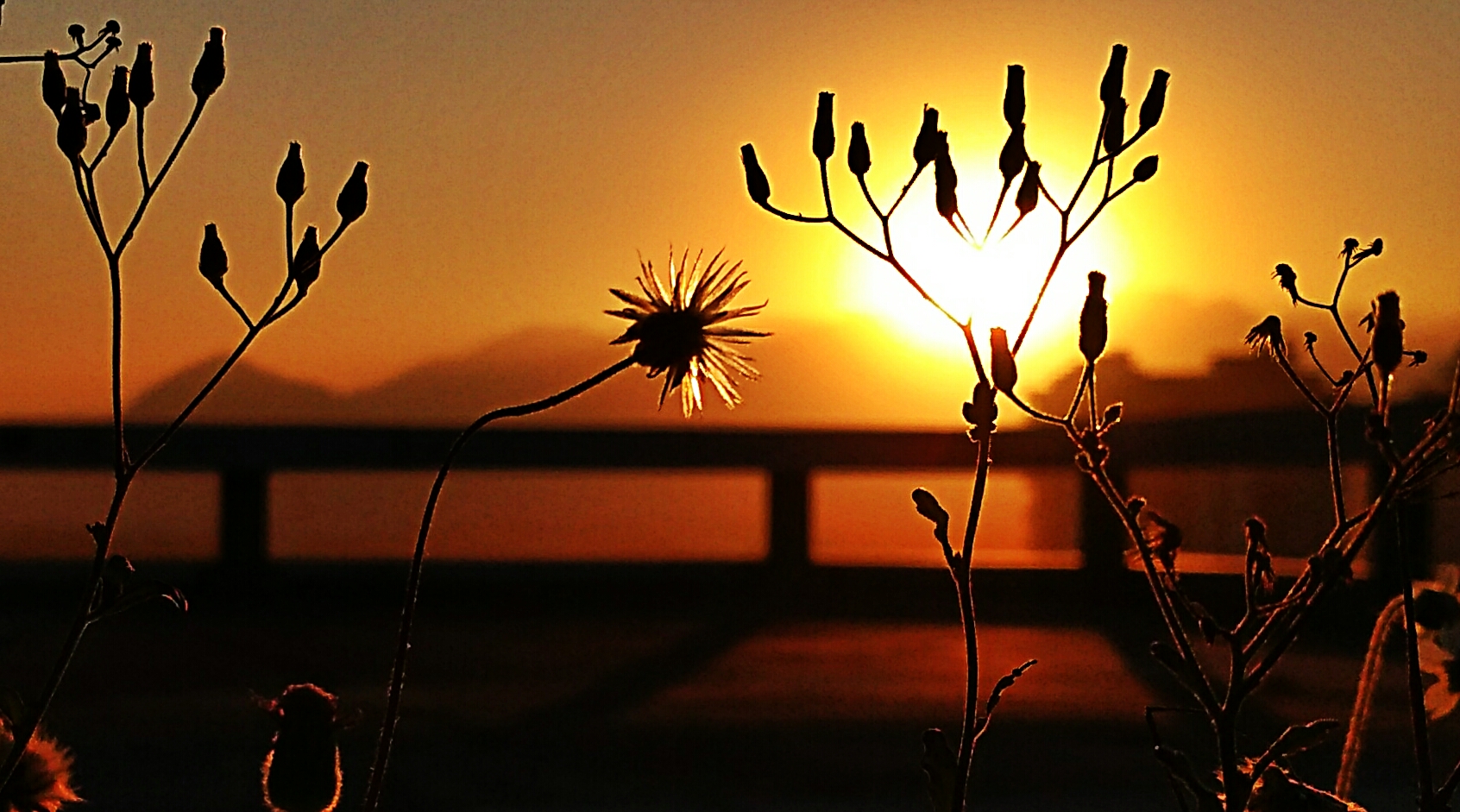 Pôr do sol no Píer da Barra
