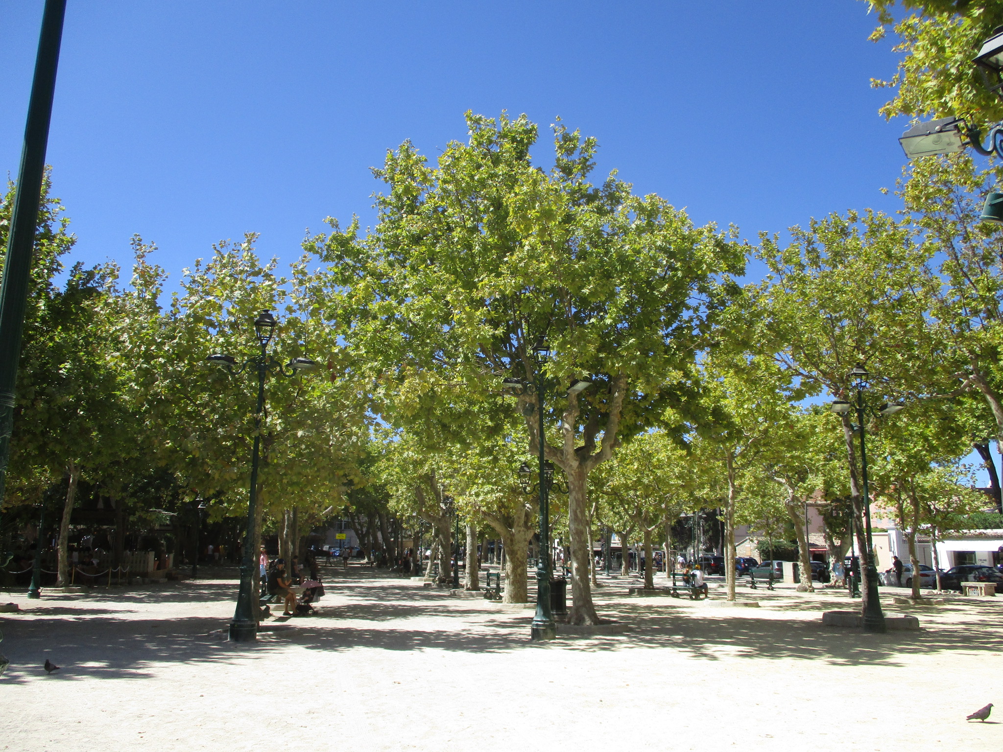 Marché de la Place des Lices