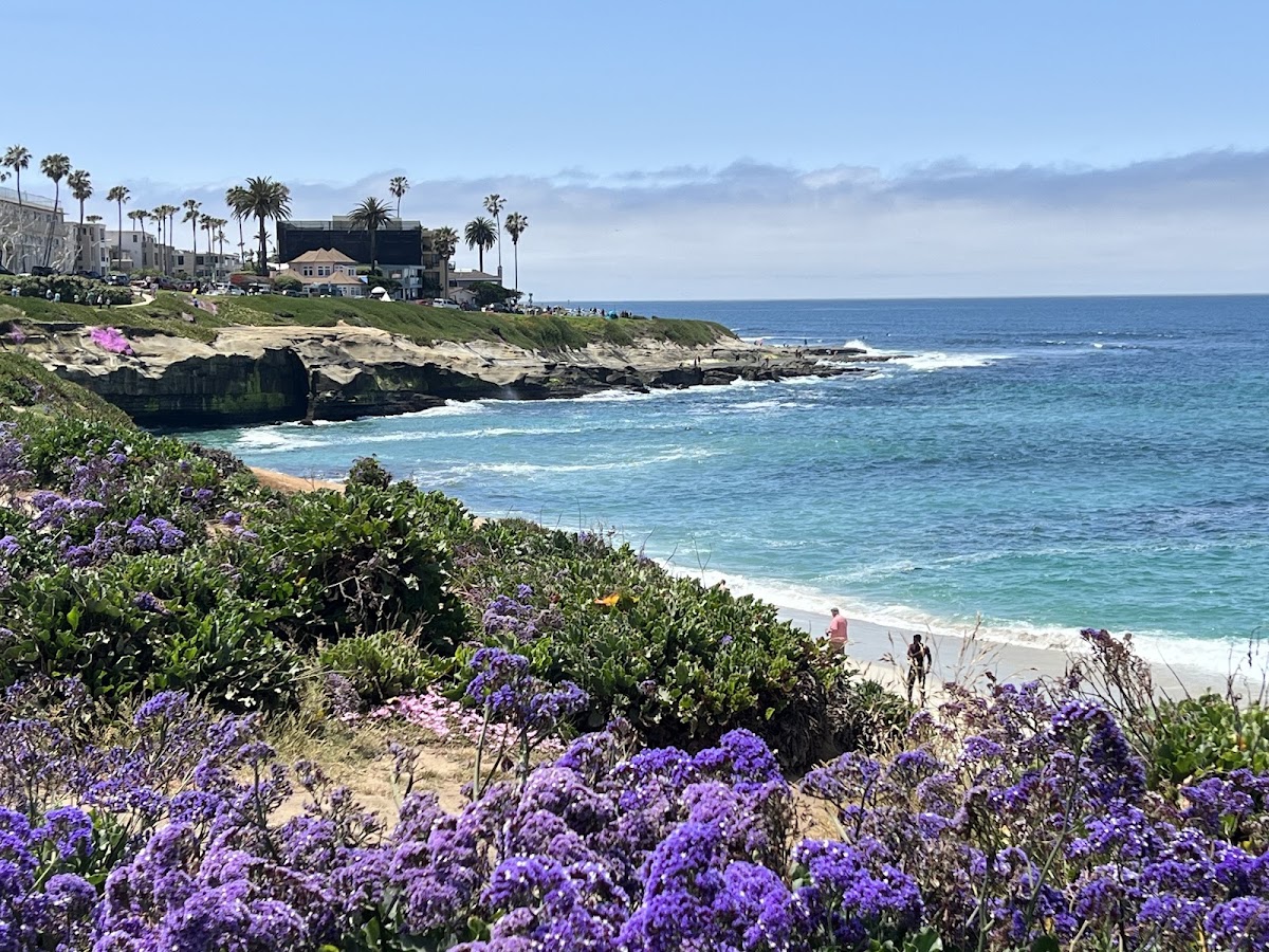 La Jolla Cove