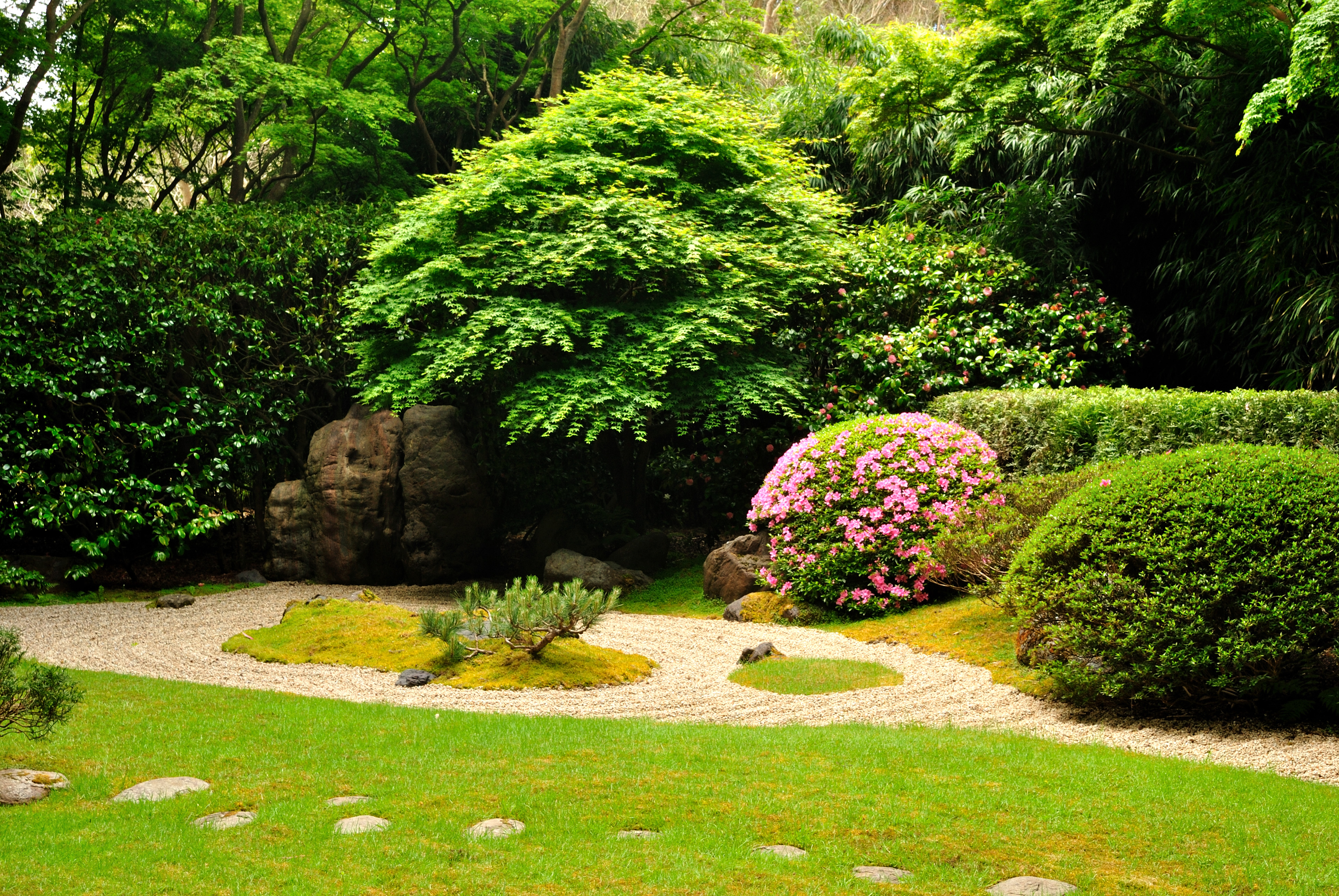 Japanese Tea Garden