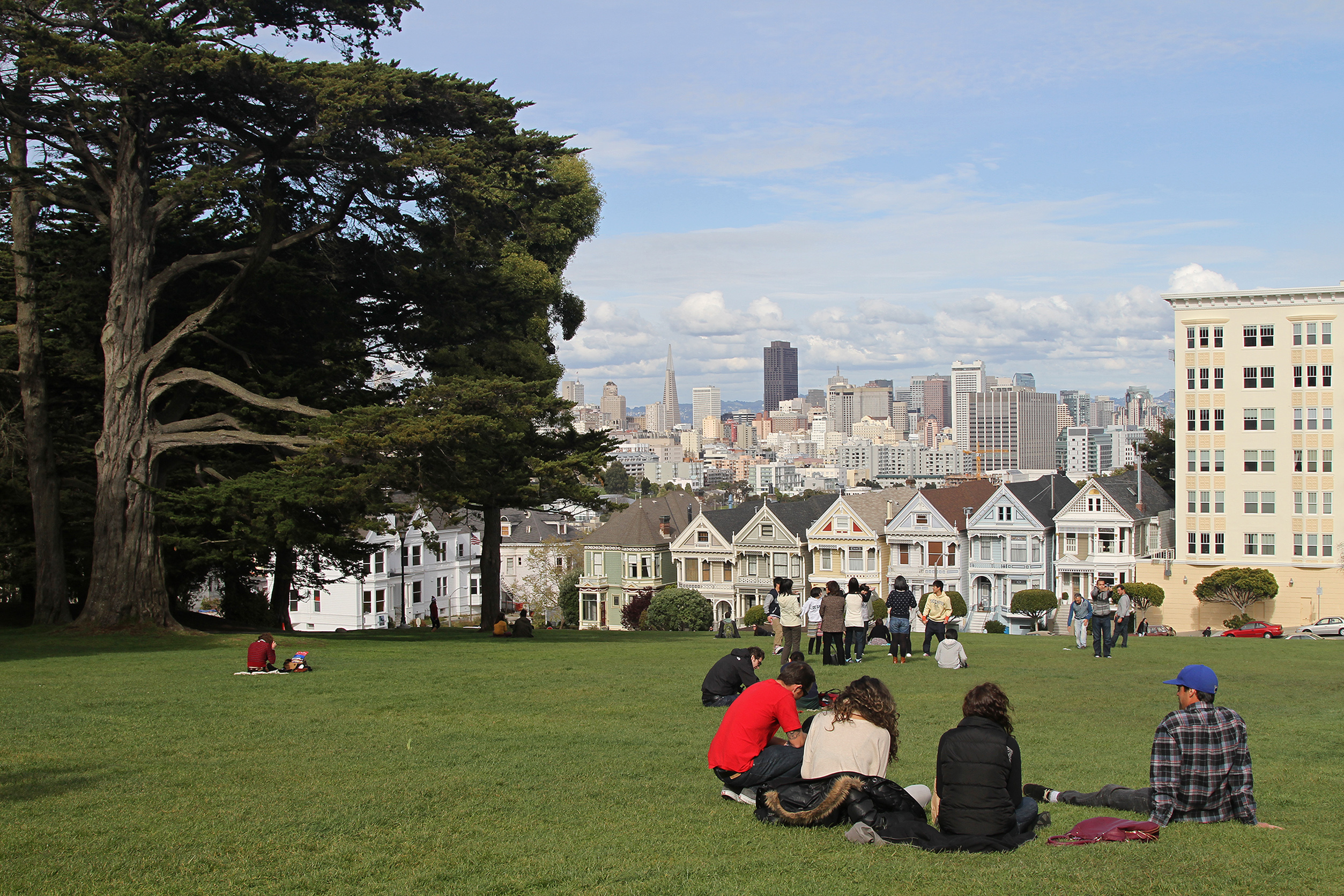 Painted Ladies