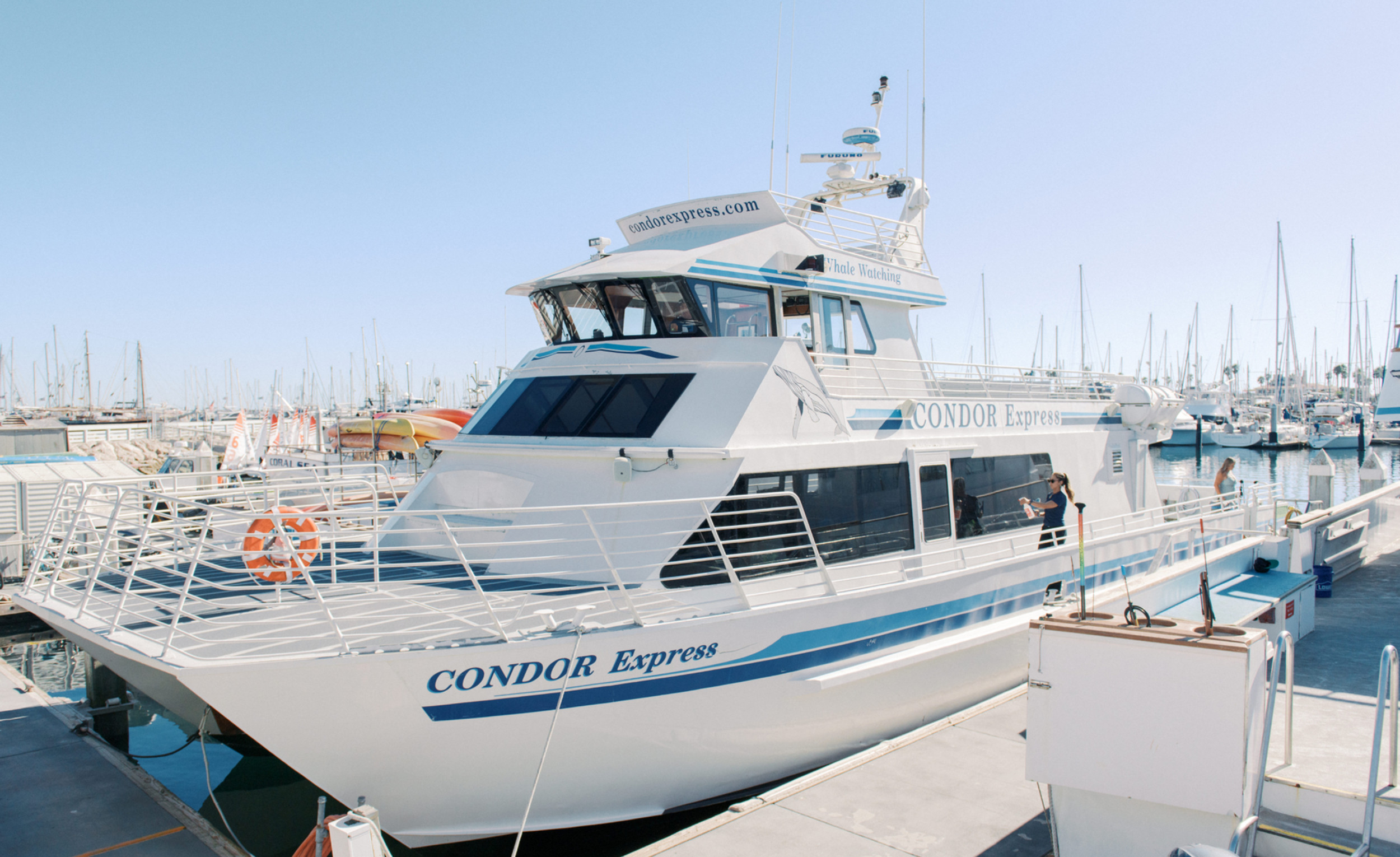 Condor Express
