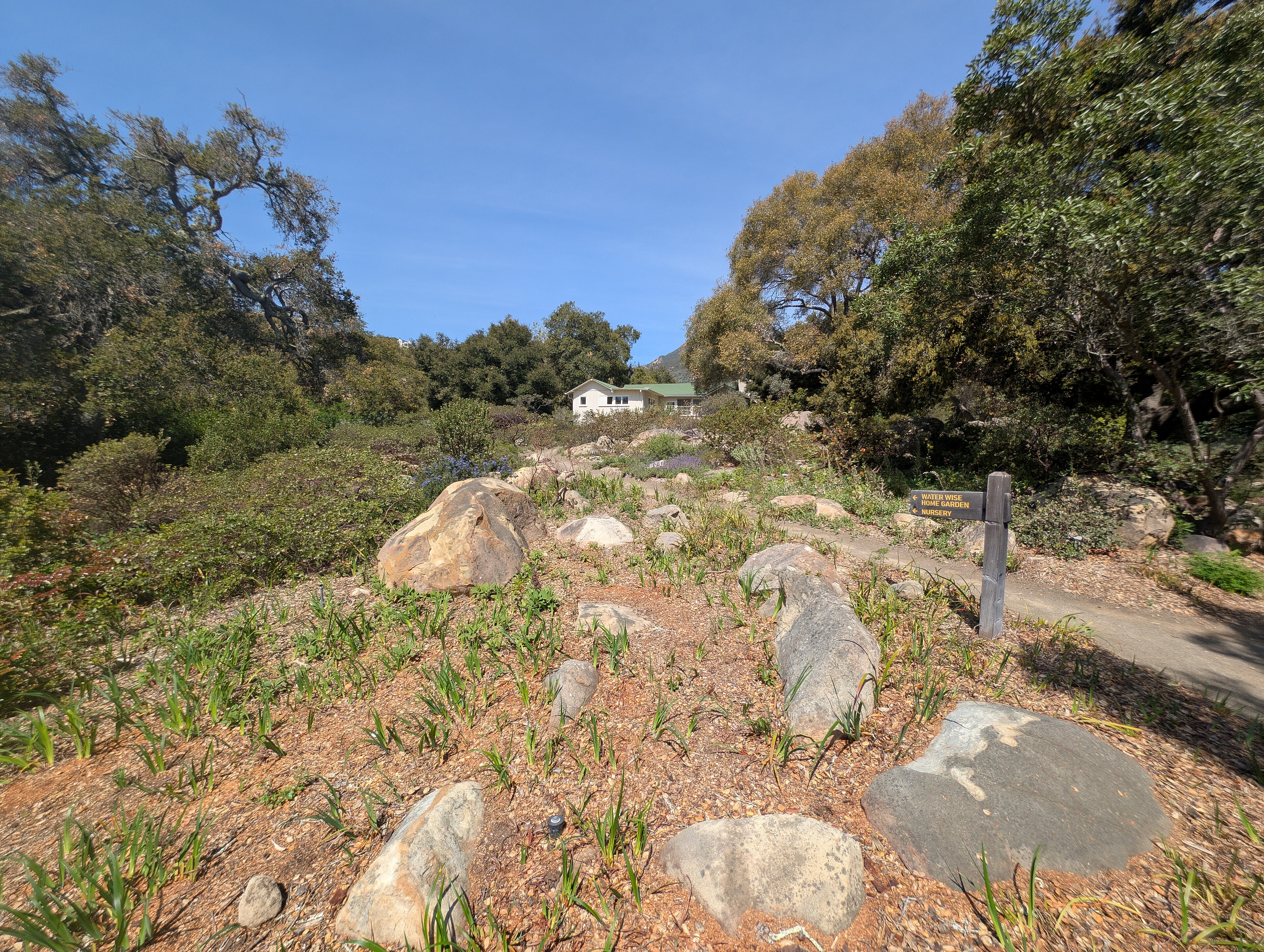 Santa Barbara Botanic Garden