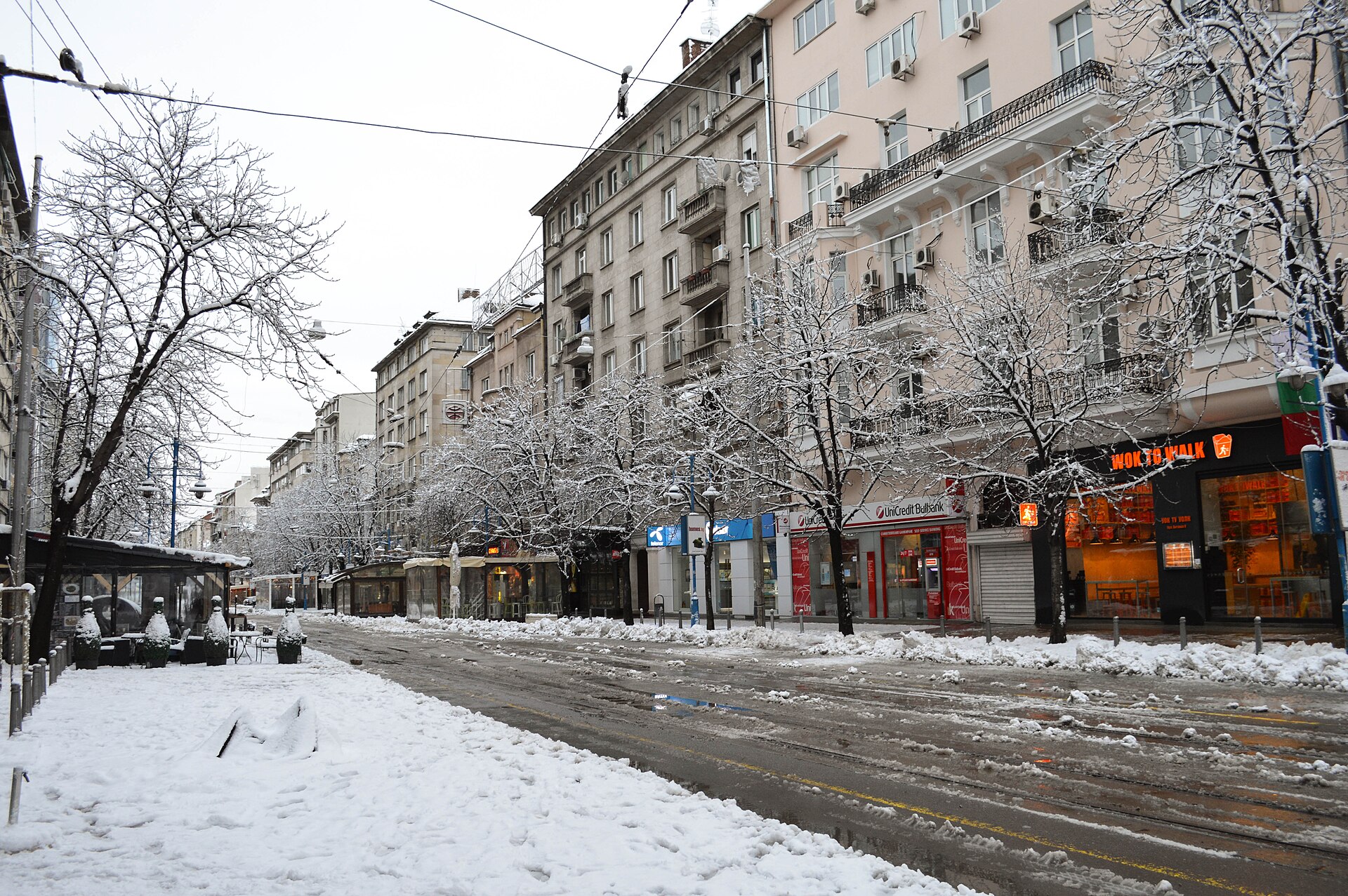 Bulevar Vitosha