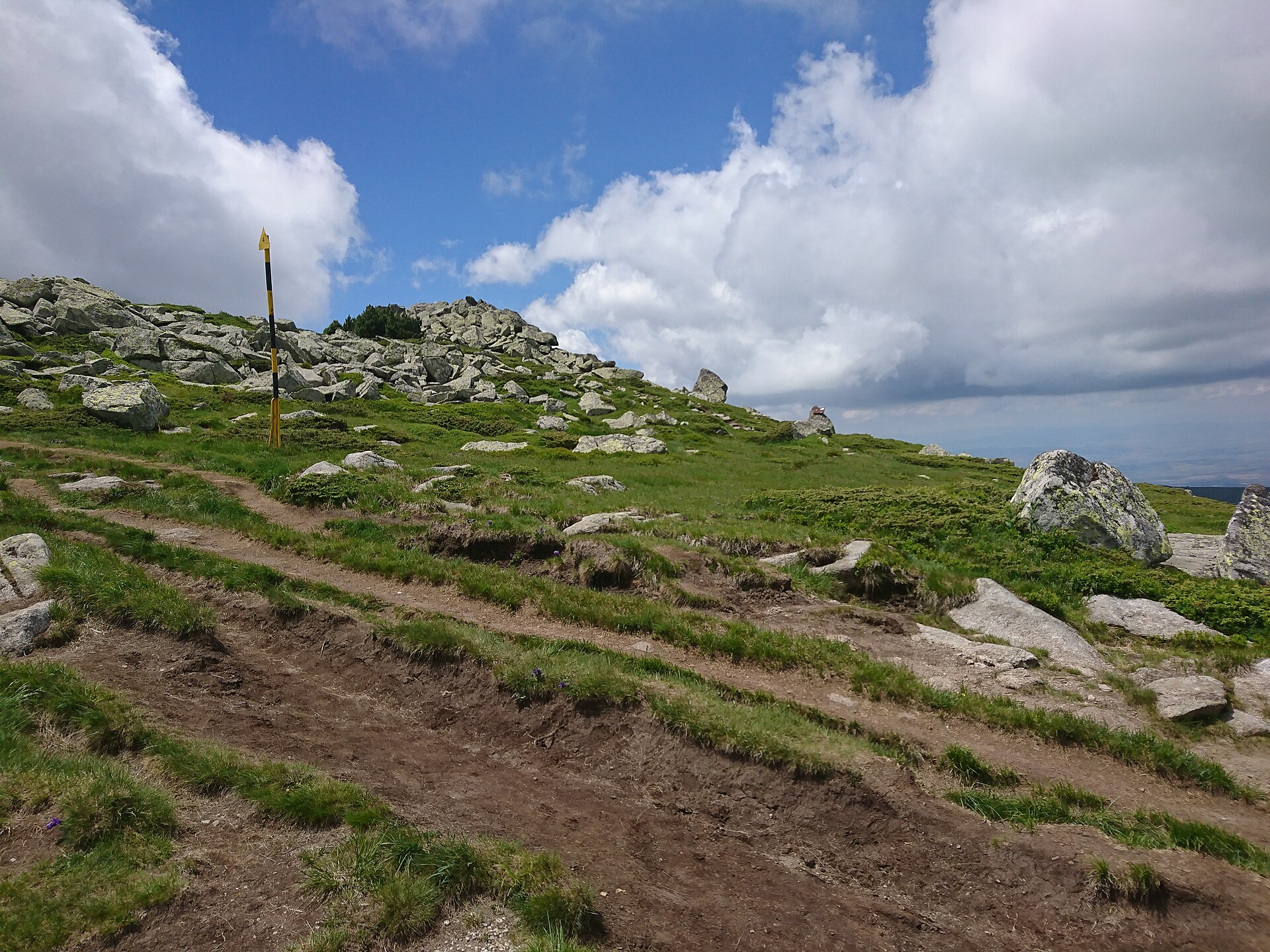 Monte Vitosha