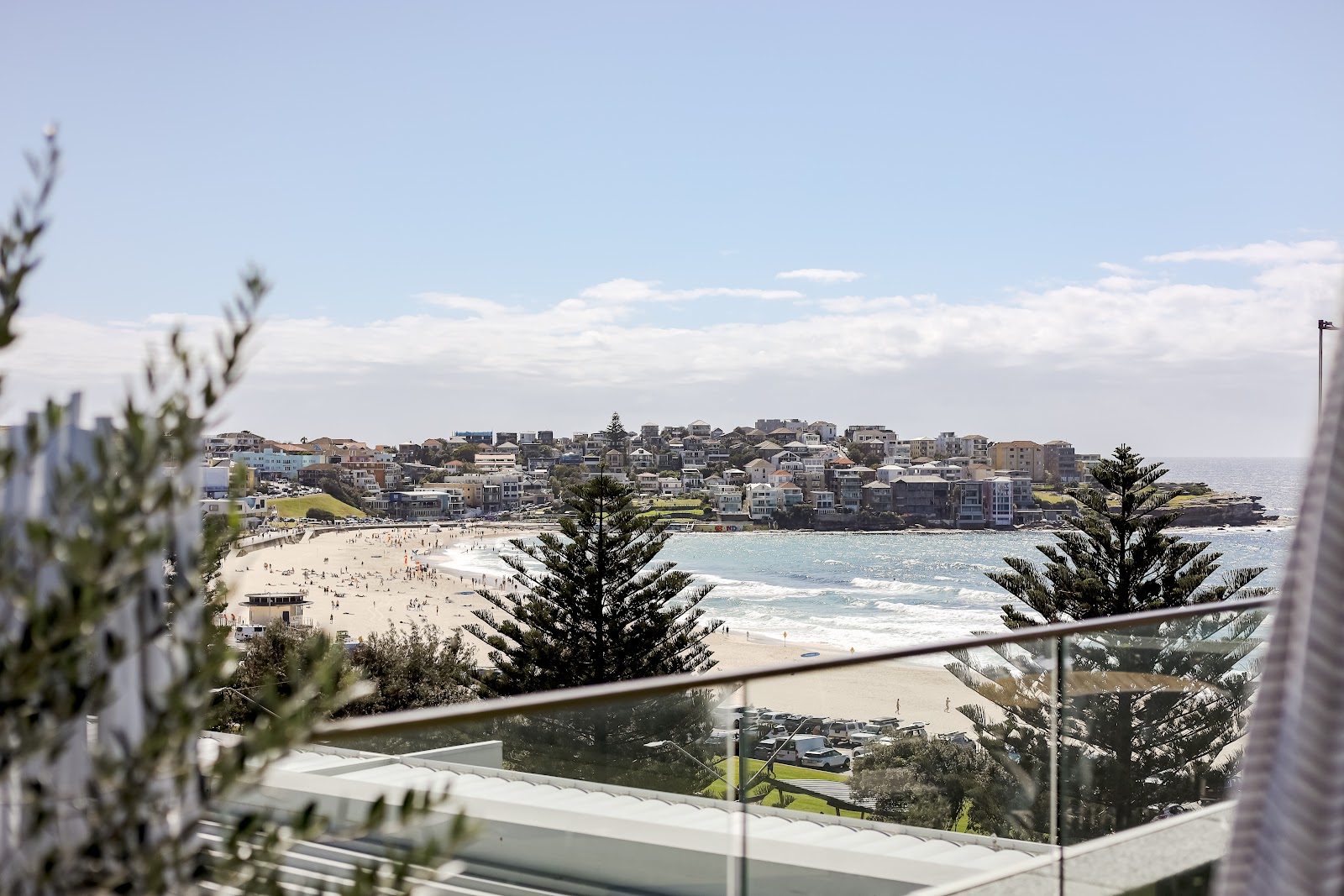 Wake Up! Bondi Beach
