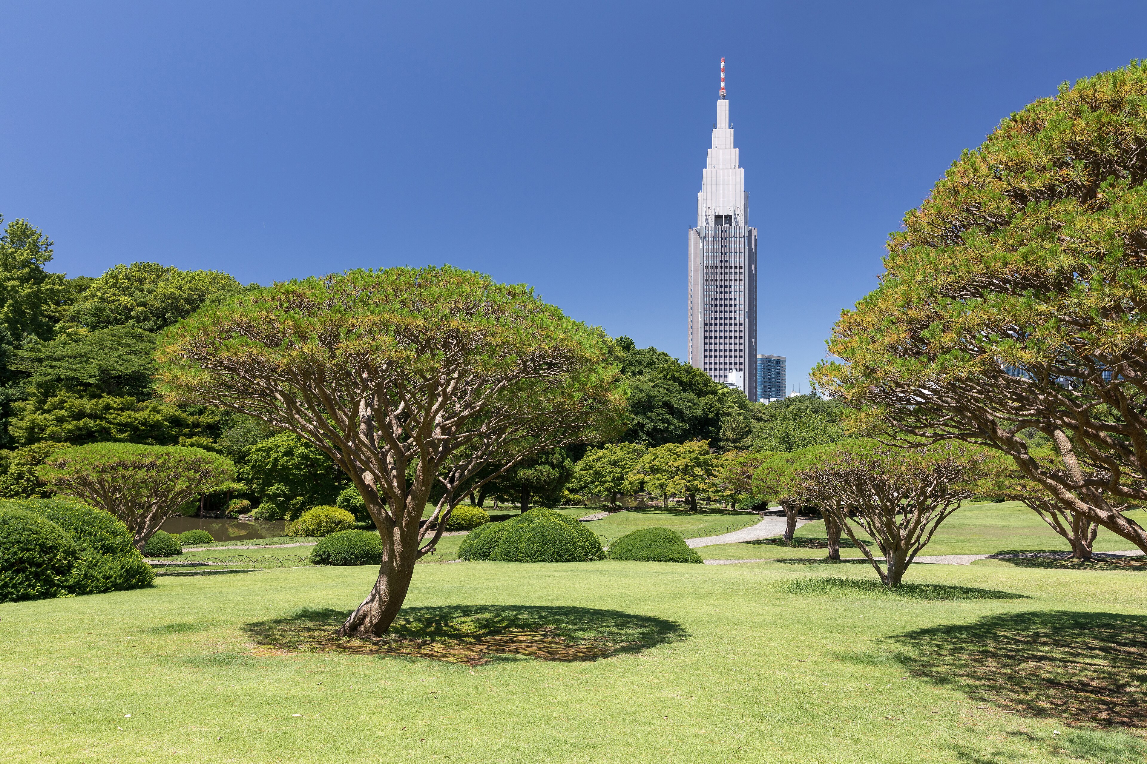 Shinjuku Gyoen