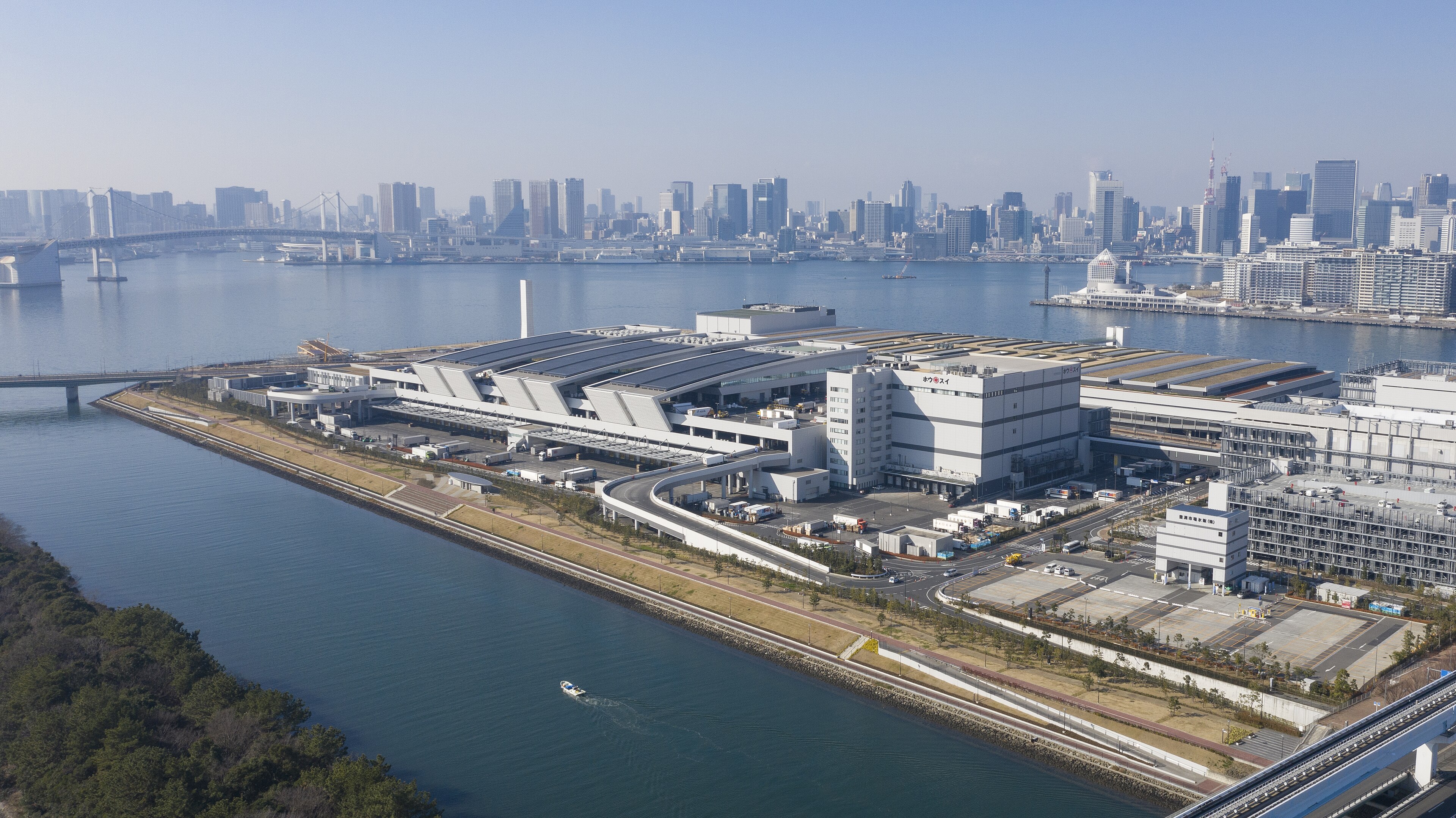 Toyosu Market