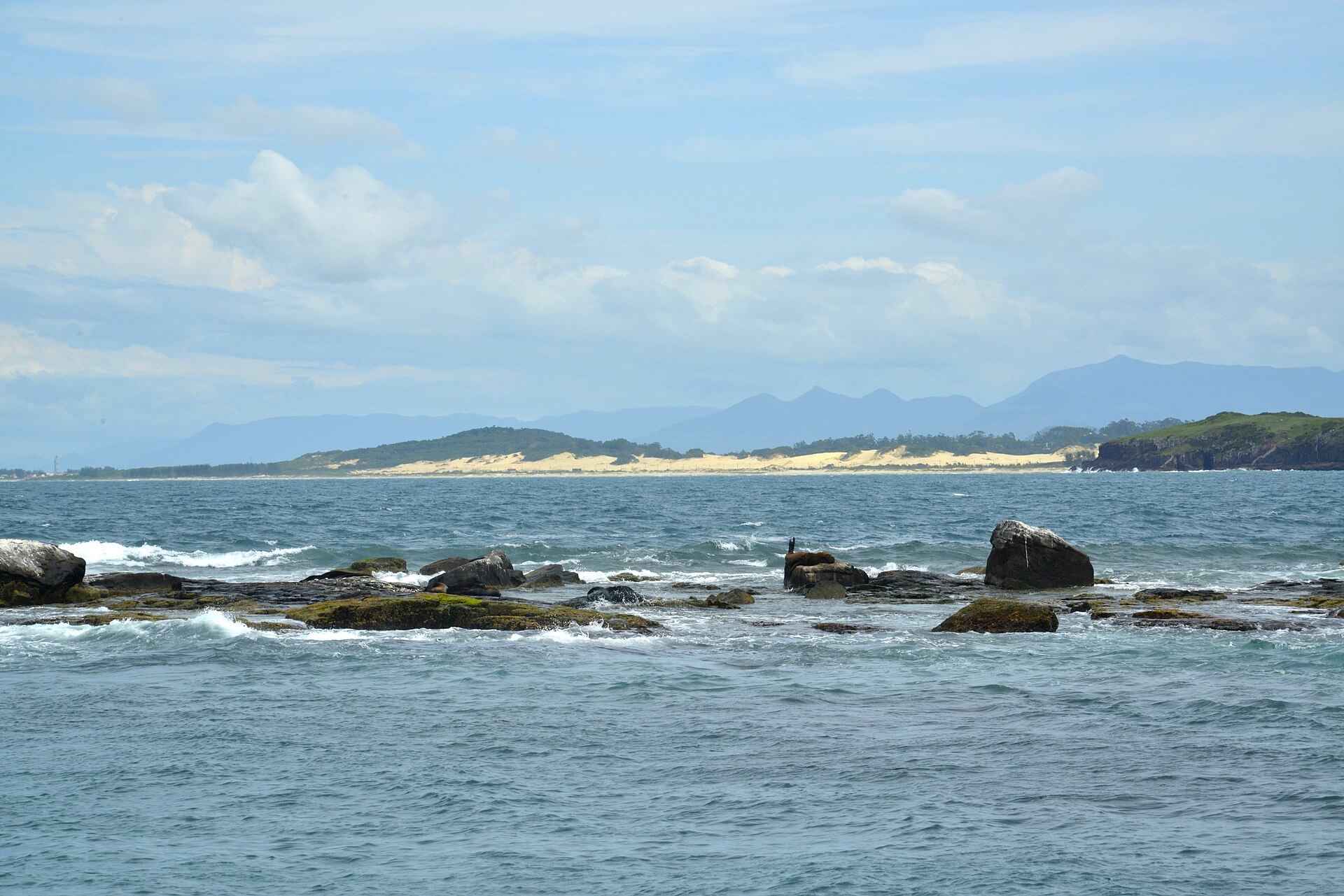 Passeio de barco para a Ilha dos Lobos