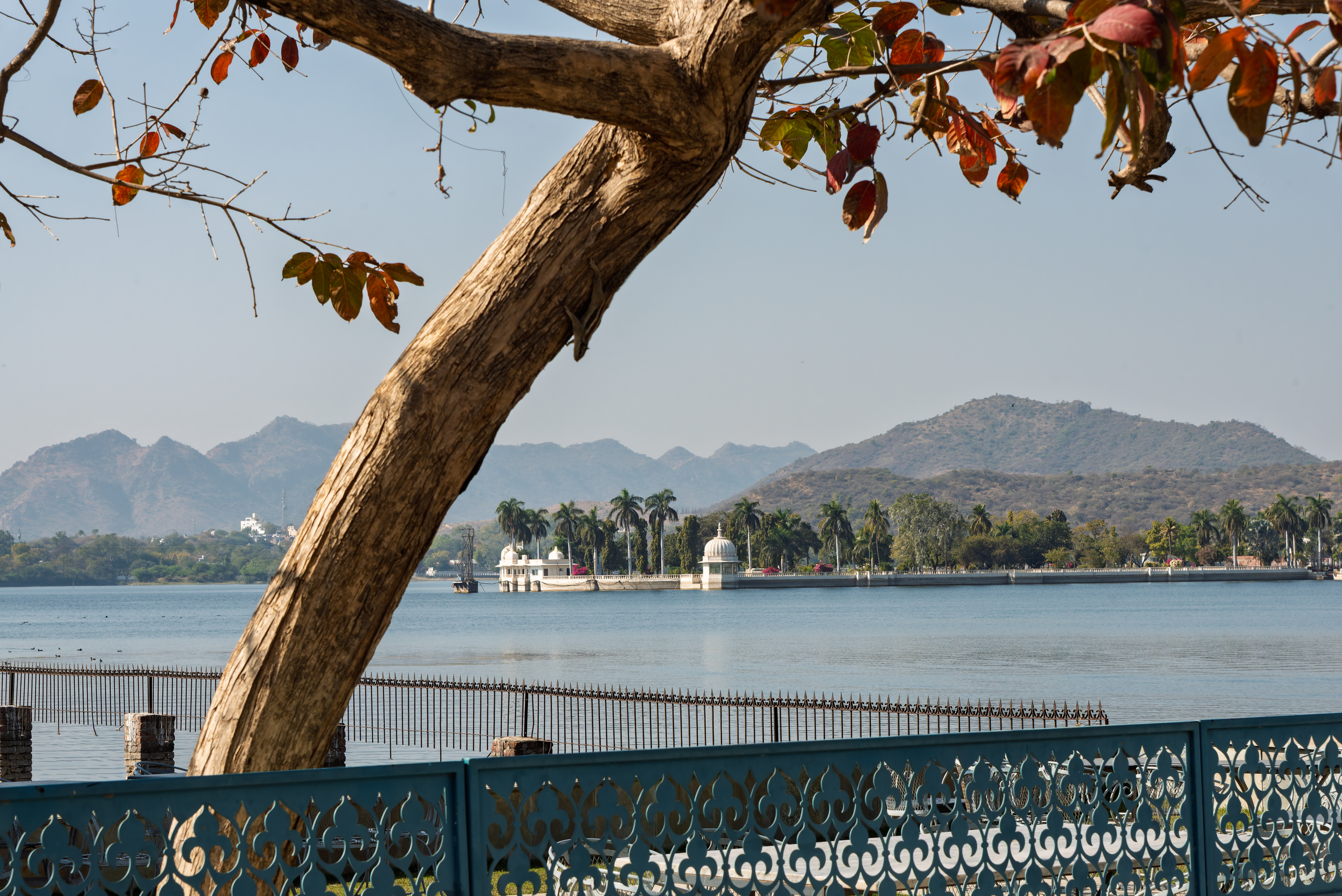 Lago Fateh Sagar