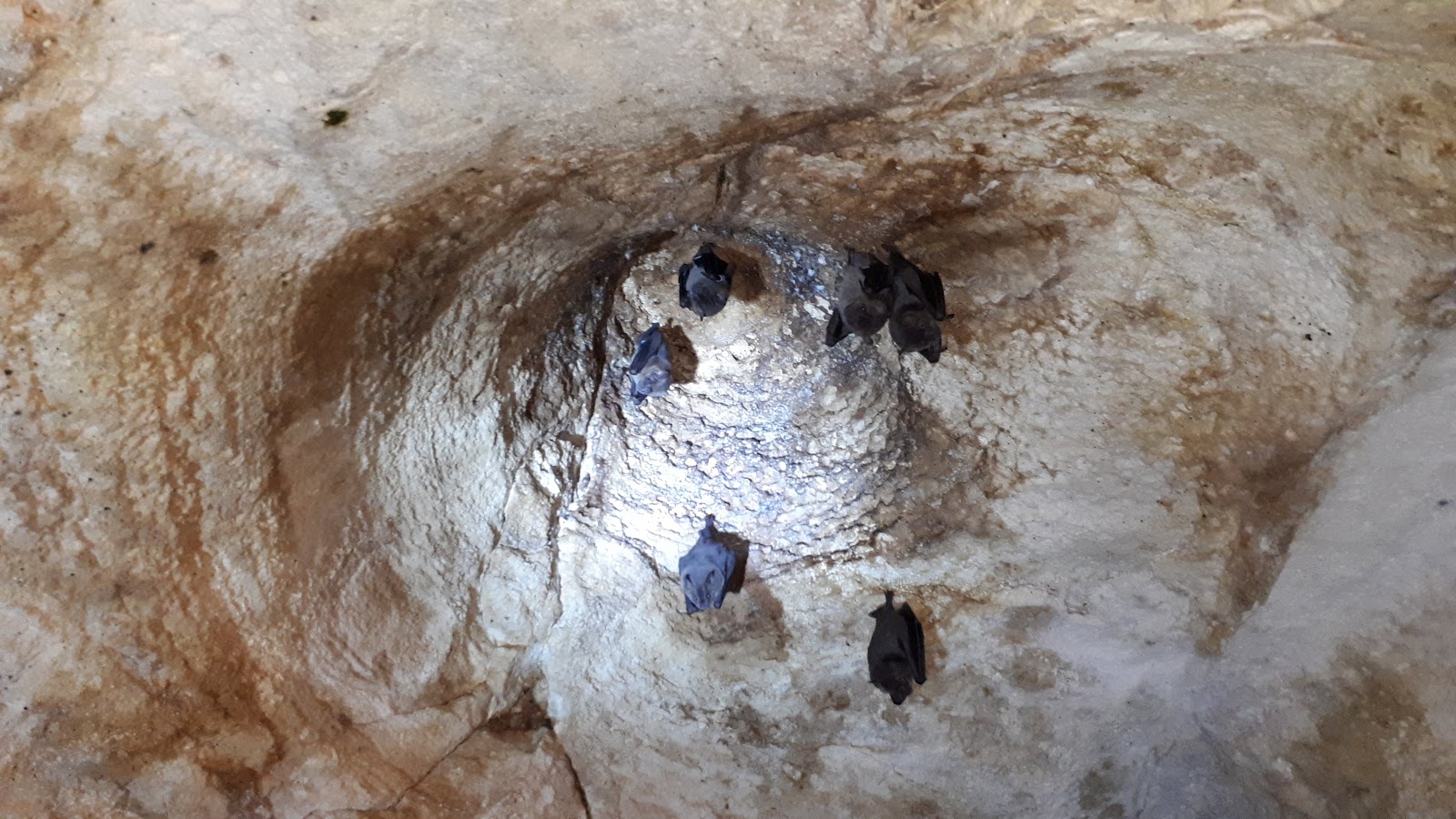 Cueva de Ambrosio
