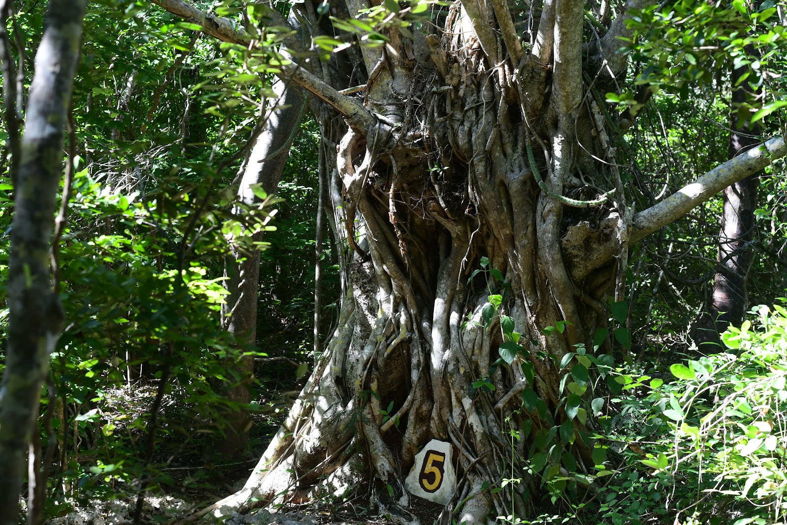 Reserva Ecológica Varahicacos