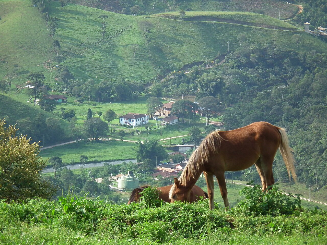 Cachoeira do Araçá